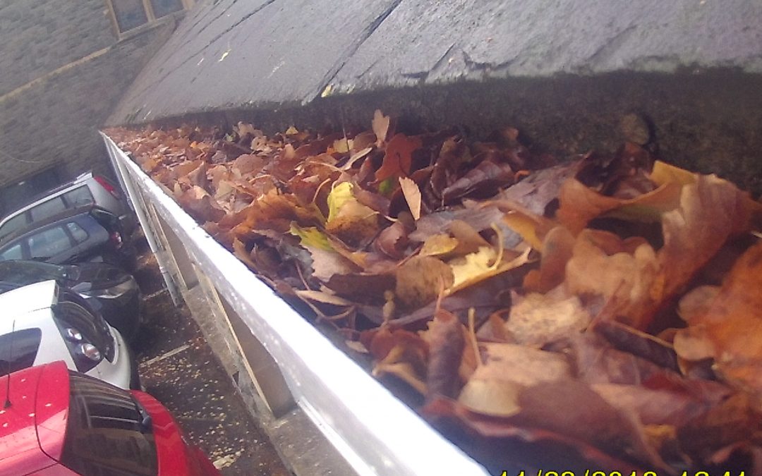 Say Goodbye to Dripping Gutters: Why Gutter Cleaning is Essential